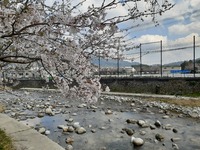 img_20210325-073134.jpg