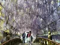 img_20210504-090350.jpg