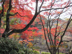 img_20211205-094045.jpg
