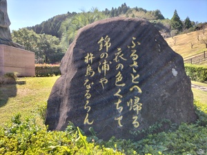 img_20241021-105556.jpg