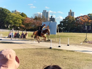 img_20241126-204858.jpg