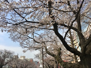 img_20190403-091736.jpg