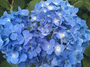 img_20190610-002615.jpg
