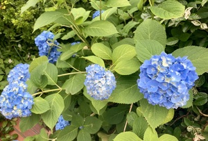 img_20240602-075717.jpg