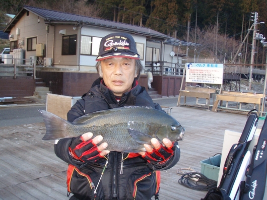 img_20140209-140830.jpg