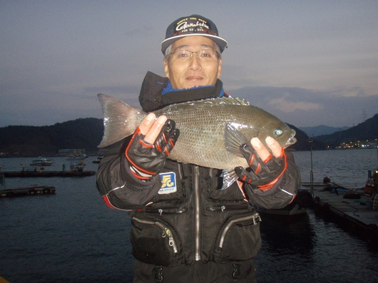 img_20140209-141455.jpg