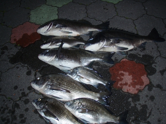 img_20140502-103135.jpg