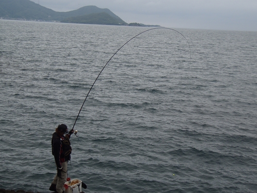 img_20140612-185747.jpg