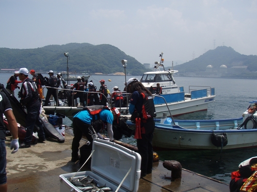 img_20140616-160948.jpg