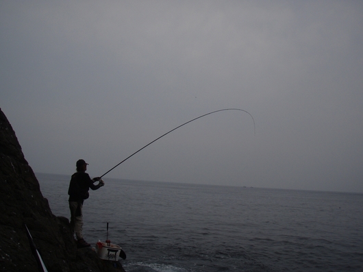 img_20140618-170047.jpg