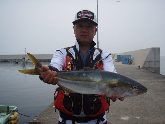 img_20140618-170525.jpg
