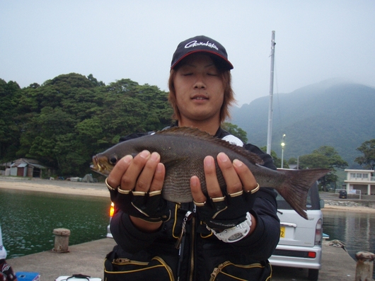 img_20140618-170709.jpg