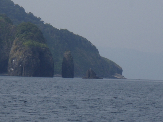 img_20140623-181018.jpg
