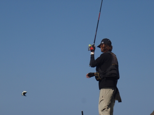 img_20140630-105628.jpg