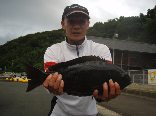 img_20140707-152419.jpg