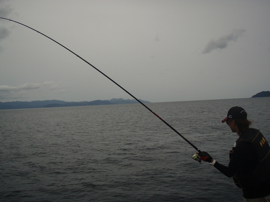 img_20140806-102916.jpg