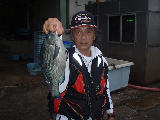 img_20140806-103501.jpg