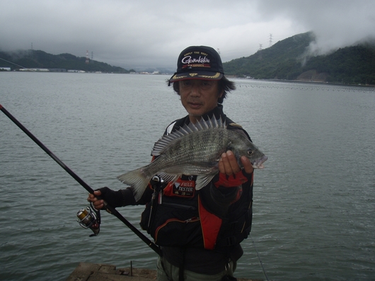 img_20140819-125031.jpg