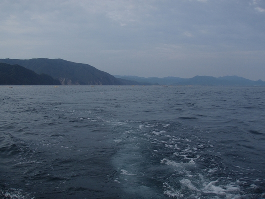 img_20140827-120334.jpg