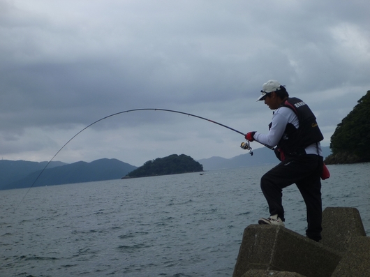 img_20140903-160259.jpg
