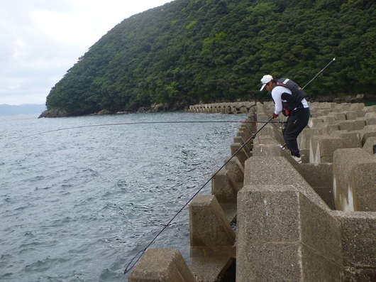 img_20140903-160324.jpg