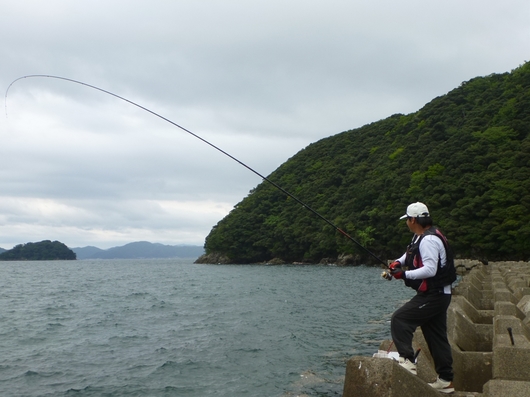 img_20140903-161511.jpg