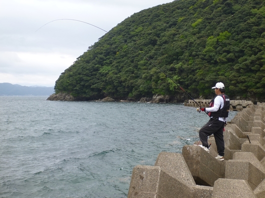 img_20140903-161621.jpg