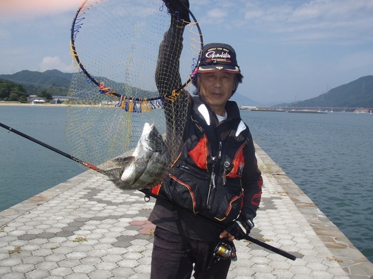 img_20140909-114155.jpg