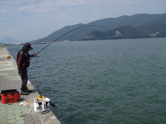 img_20140909-114748.jpg