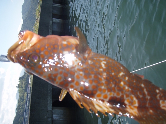 img_20140911-153358.jpg