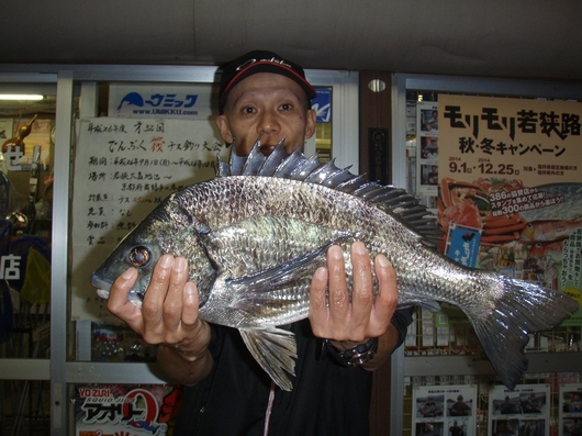 img_20140926-183119.jpg