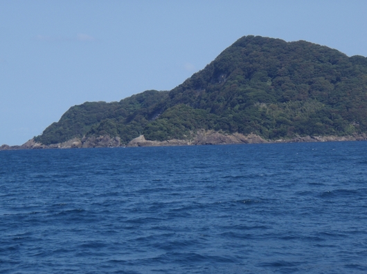 img_20140929-130700.jpg