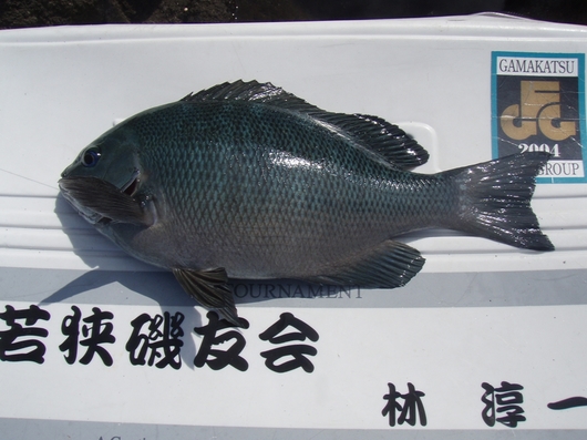 img_20140930-125218.jpg