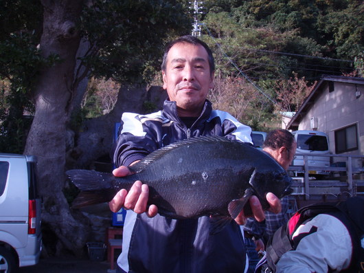 img_20141120-124528.jpg