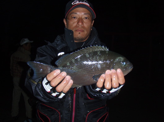 img_20141125-151426.jpg