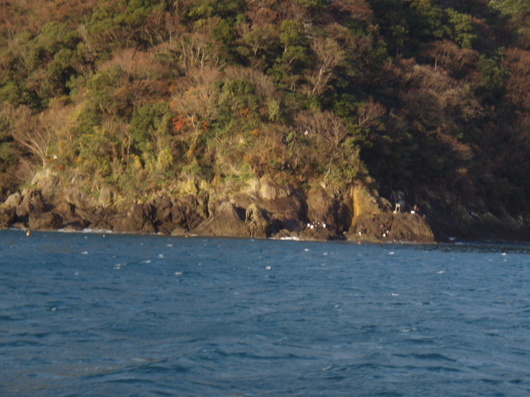 img_20141216-125657.jpg