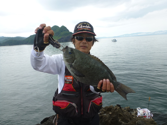 img_20150615-114902.jpg