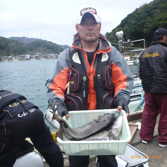 img_20160405-202642.jpg