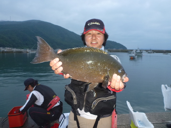 img_20160609-153140.jpg