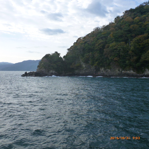 img_20161031-124510.jpg