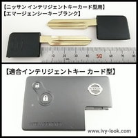 ニッサン ティアナJ31 プレサージュU31 インテリジェントキーカード型用 エマージェンシーキーブランク  チップ無し  ２本セット
