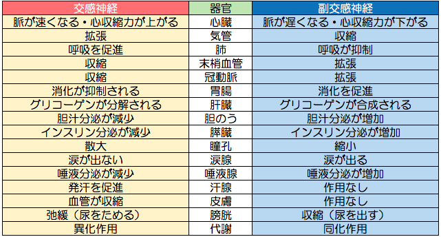 img_20241017-124121.png