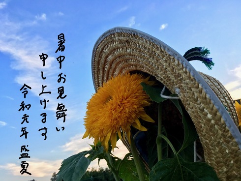 img_20190729-010024.jpg