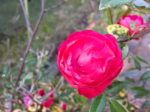 img_20221105-142221.jpg