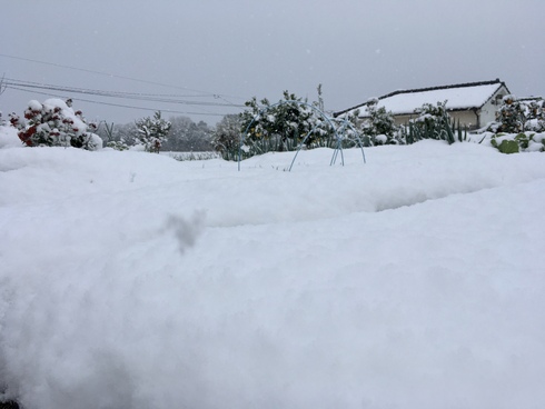 img_20231221-211058.jpg