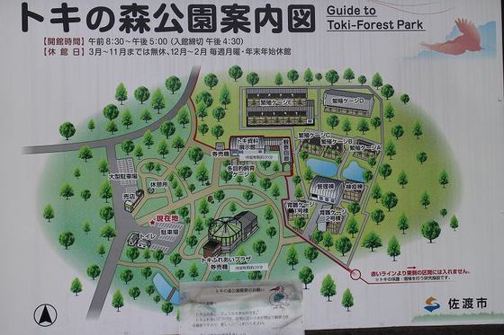 img_20140814-223258.jpg
