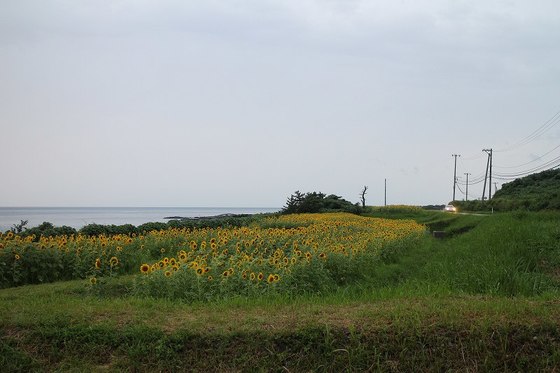 img_20140815-011011.jpg