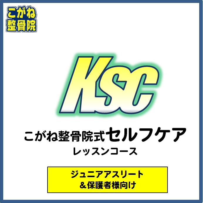 img_20240203-120234.png