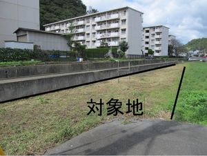 img_20190304-074348.jpg