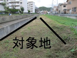 img_20190304-074446.jpg